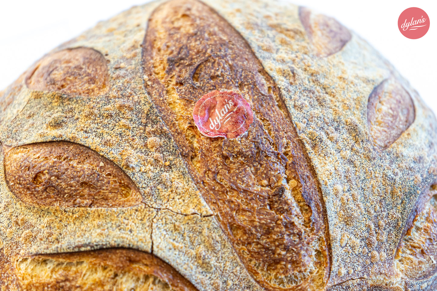 Sourdough Loaf - Large